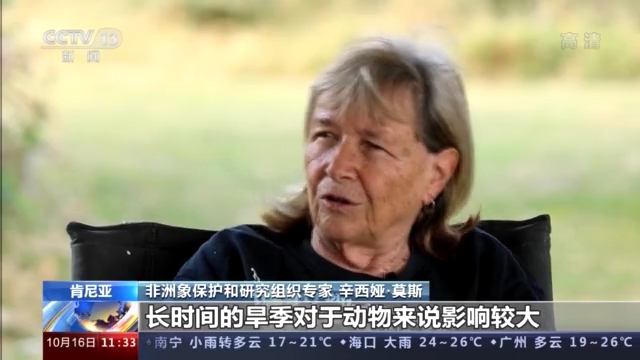 肯尼亚干旱持续 当地野生动物生命受到威胁