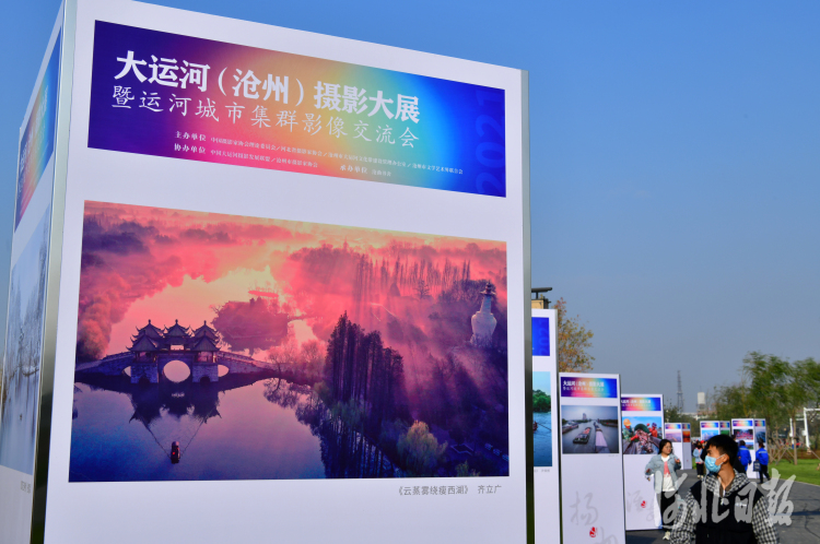 河北沧州：运河美景入“画”来