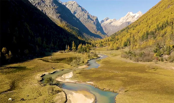 Welcome to Sichuan Four Girls Mountain and Enjoy the endless Autumn Scenery_fororder_1