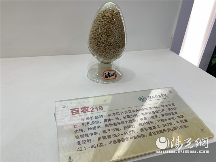 （转载）用“芯”筑牢粮食安全“防护墙”