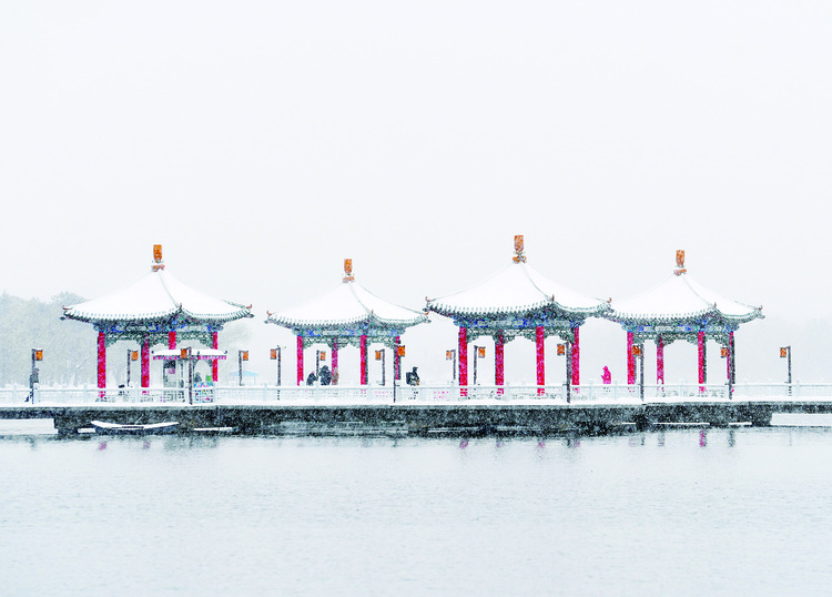 雪中春城