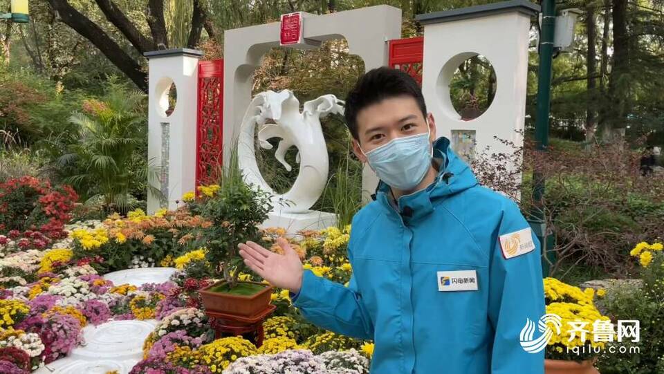 金秋时节，你来济南趵突泉公园打卡“限定彩虹”了吗？