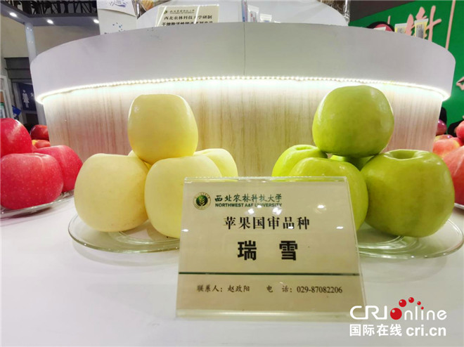 西农科创新成果在农高会绽放_fororder_图片133