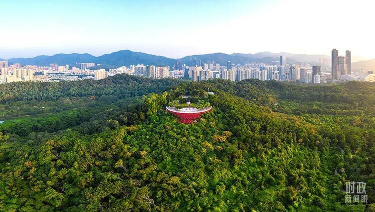 时政新闻眼丨十九届六中全会审议通过重磅决议，释放哪些重要信息？