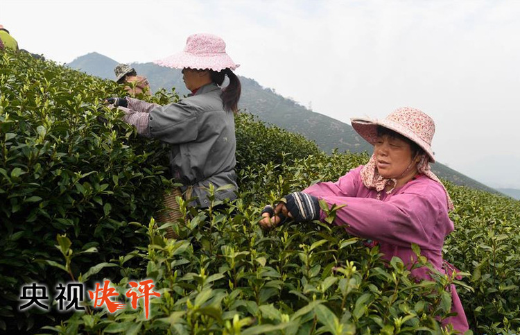 【央视快评】奋力夺取脱贫攻坚战全面胜利