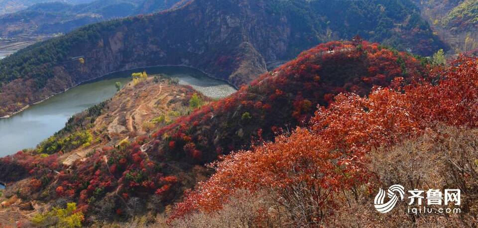 济南绿叶换新妆 “红黄”交映美景不止南部山区