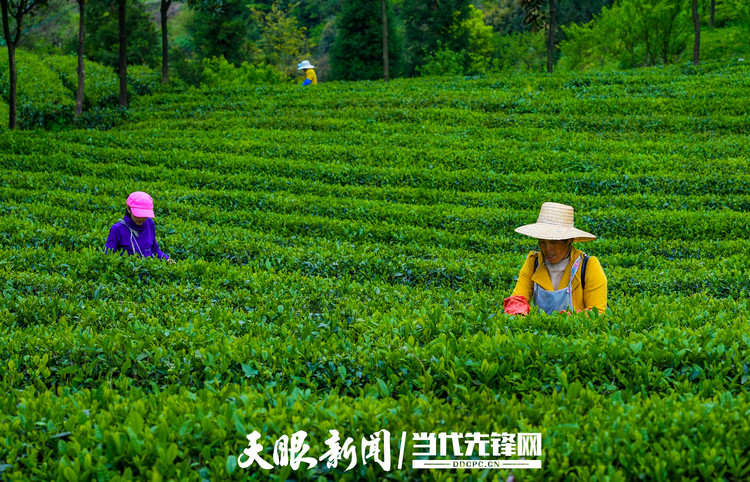 贵州代表委员畅谈守好发展和生态两条底线