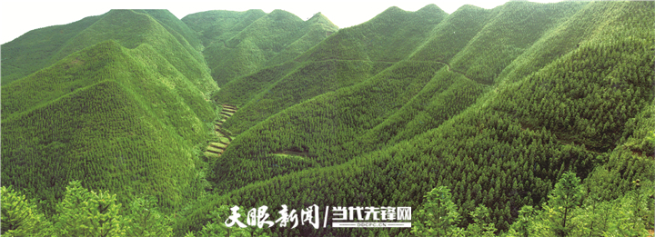 贵州代表委员畅谈守好发展和生态两条底线