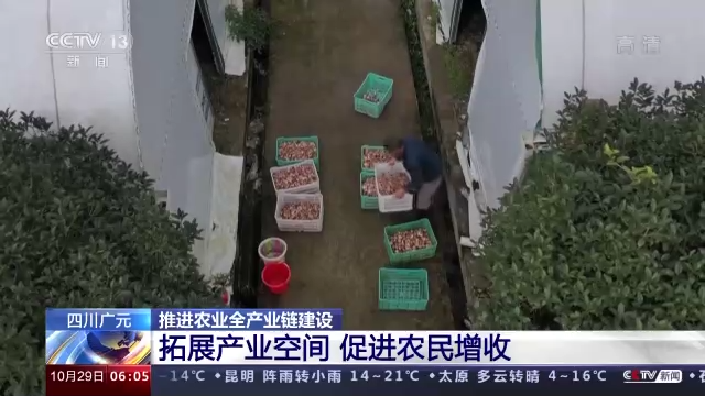 农业农村部：前三季度乡村富民产业发展势头良好 推进农业全产业链建设