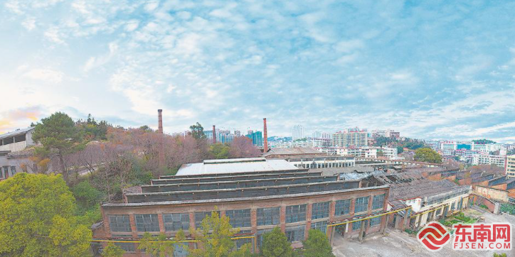 泉州德化：融合创新，引领全链升级