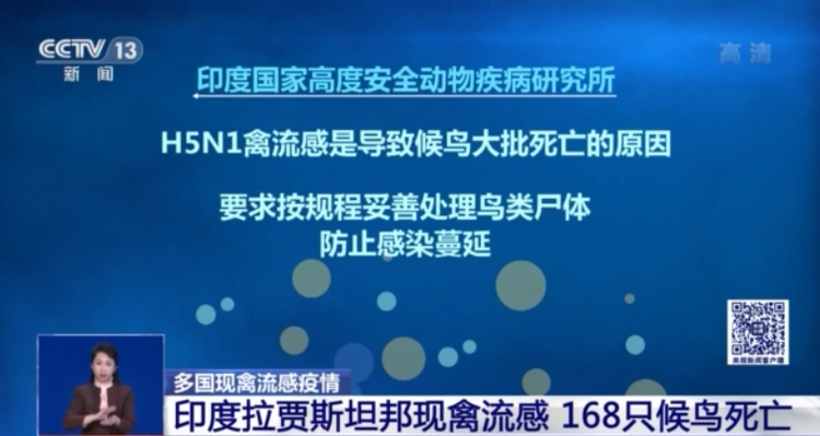 多国出现禽流感疫情 日韩提升警戒级别至最高级