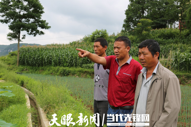 左文学：乡村振兴，人才是关键