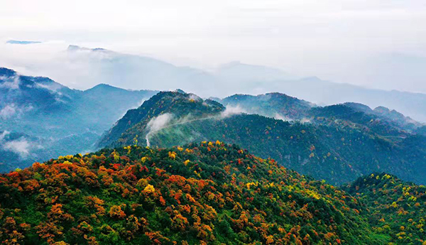 眉山洪雅：瓦屋山的秋天 缤纷的童话世界_fororder_秋之瓦屋-供图-洪雅县委宣传部(2)