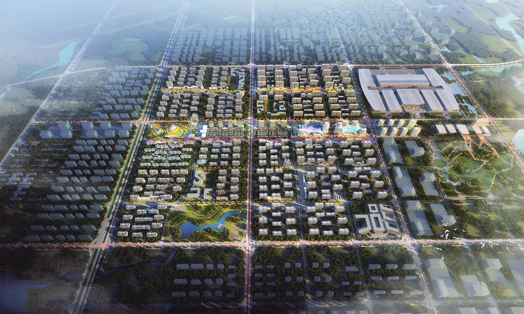 长春市朝阳区优化营商环境系列见闻之二项目上看发展