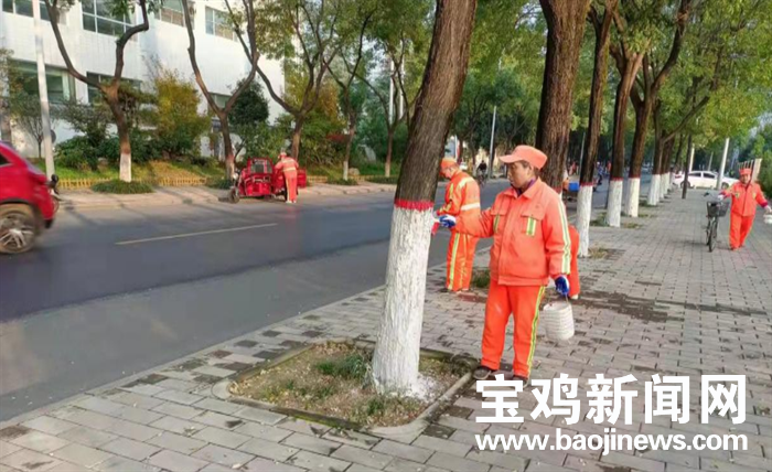 （转载）宝鸡市金台区：2.6万棵行道树穿“新衣” 换上“白裙” 过寒冬