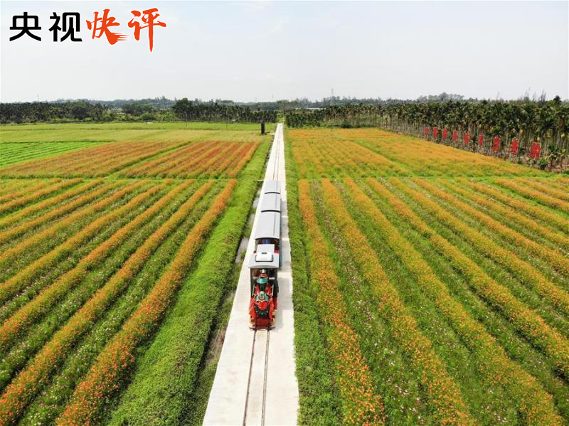 【央视快评】汇聚起决战决胜的强大信心和力量——写在全国两会开幕之际