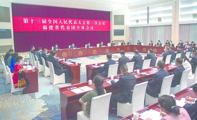 十三届全国人大三次会议福建代表团成立