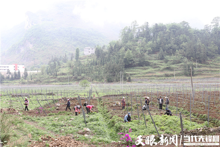 贵州水城：坚守底线 向“高”而行