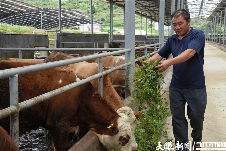 贵州水城：坚守底线 向“高”而行