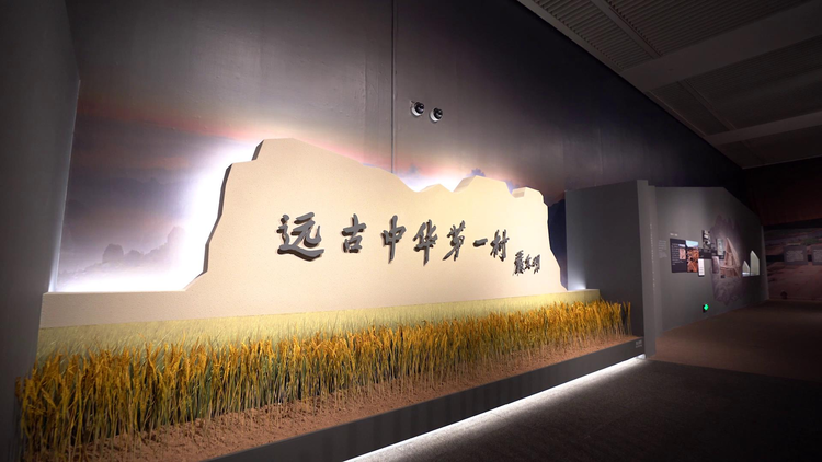 稻·源·启明——“浙江上山文化考古特展”暨“万年浙江与中华文明”学术座谈会顺利举行_fororder_图片5