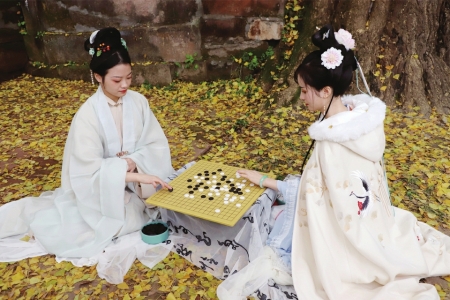 （中首）云赏美图 金黄银杏上线