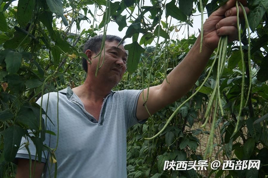 石泉太阳村的“太阳产业” 让村民富了起来