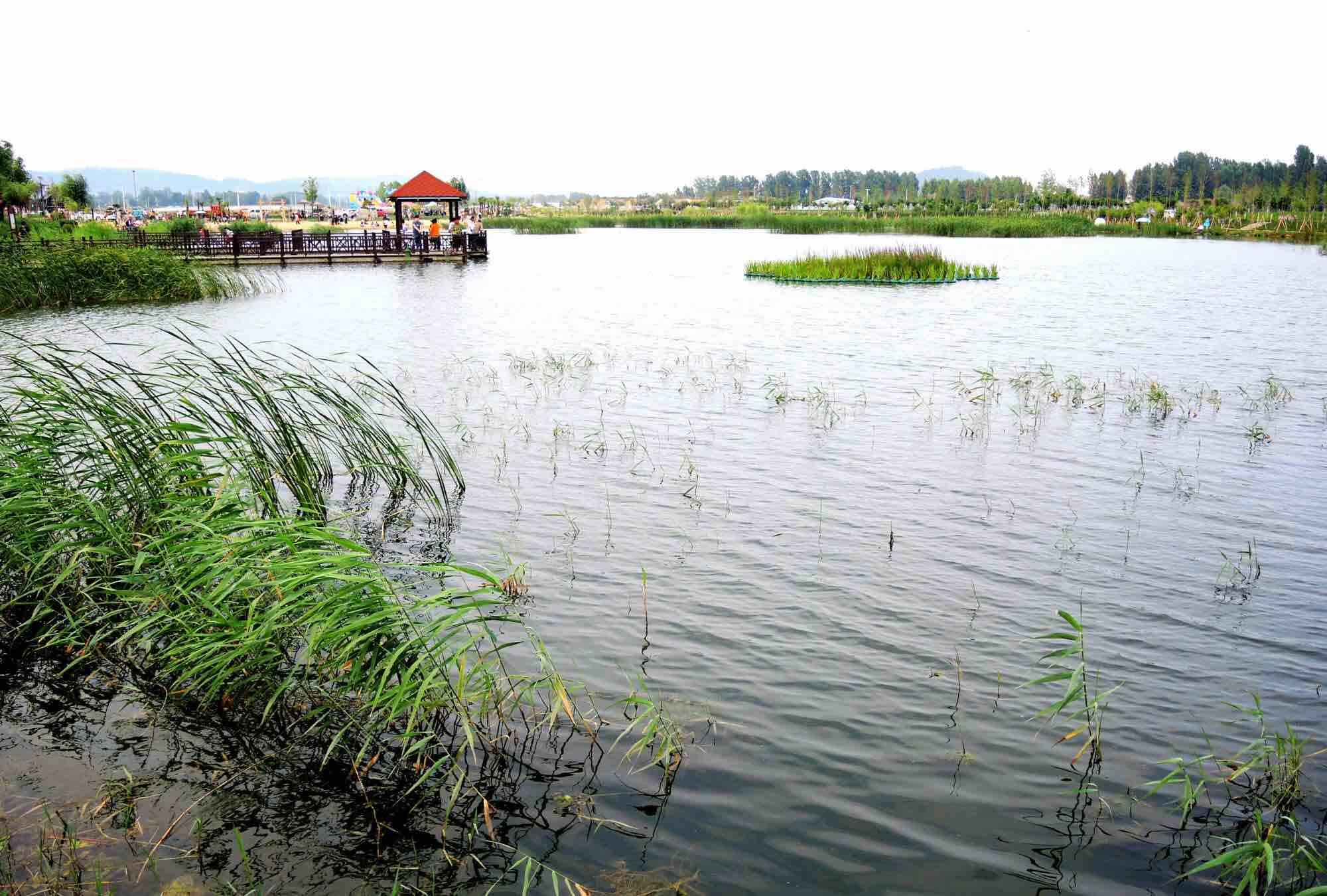 聚焦枣庄市“工业强市、产业兴市”项目建设现场推进会｜薛城篇