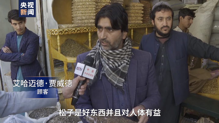 总台喀布尔观察丨小小的松子是阿富汗家庭重要的收入来源