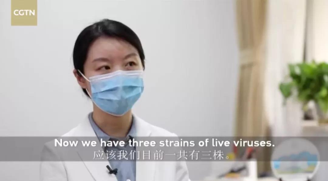 武汉病毒研究所所长王延轶回应病毒起源阴谋论