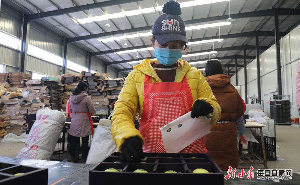 灵台独店镇苹果销贮并举促增收_fororder_44