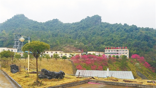绿色矿山建设的“百色路径”