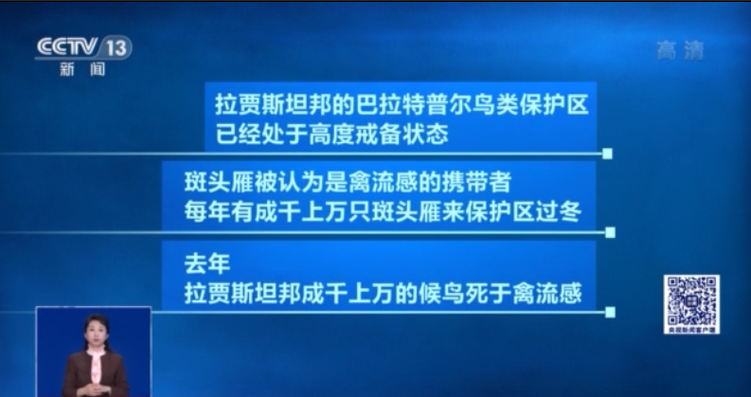 多国出现禽流感疫情 日韩提升警戒级别至最高级