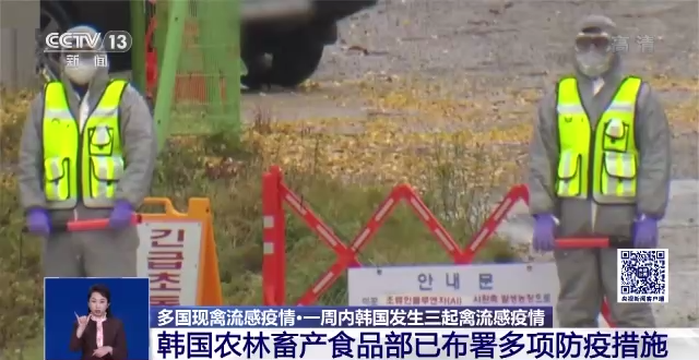 多国出现禽流感疫情 日韩提升警戒级别至最高级