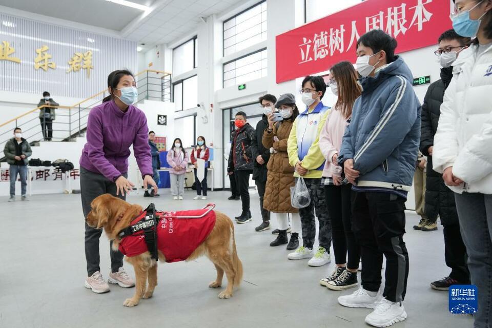 冬奥志愿者培训：设置手语、导盲犬等七项主题实操演练