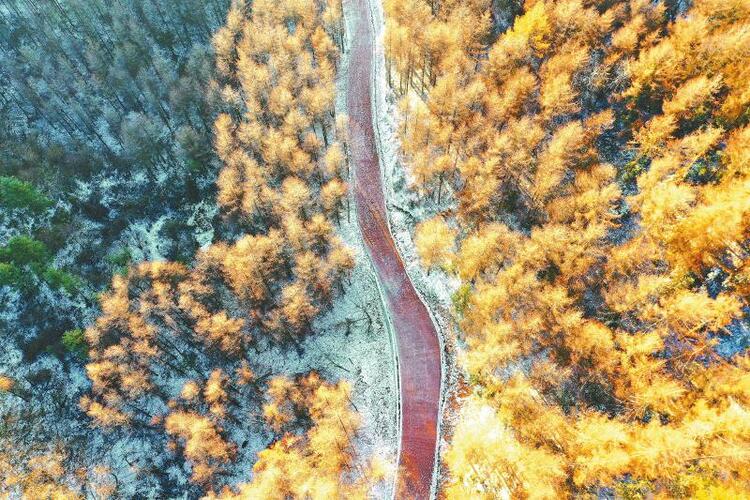（中首）初冬四川：半山红叶半山雪