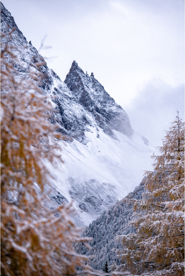 （中首）云游四川，半山彩林半山雪丨四姑娘山，今天换上了“混搭”彩色新衣