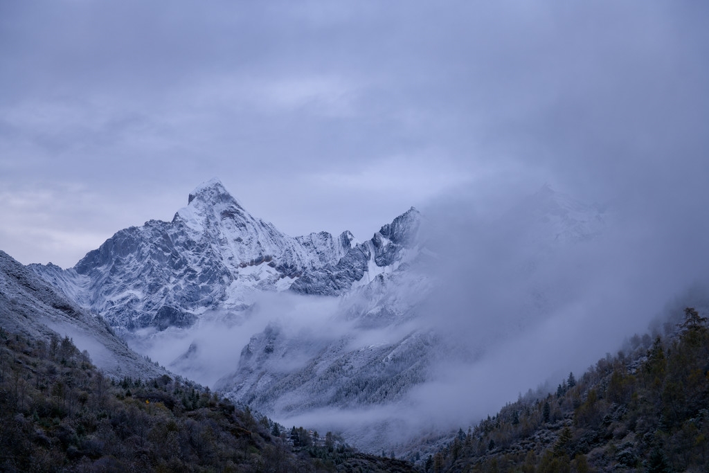 （中首）云游四川，半山彩林半山雪丨四姑娘山，今天换上了“混搭”彩色新衣