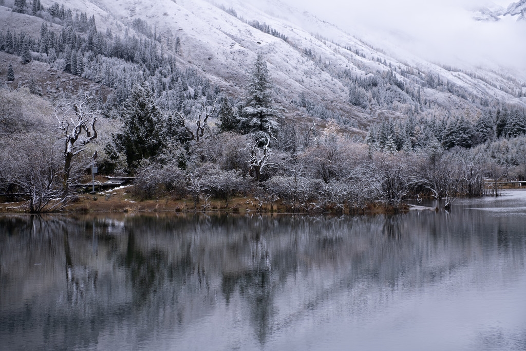 （中首）云游四川，半山彩林半山雪丨四姑娘山，今天换上了“混搭”彩色新衣