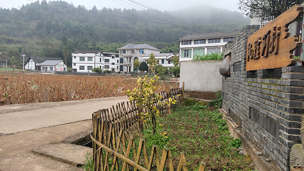 南充西充县跳蹬河村：党建引领壮大村集体经济 助推乡村振兴_fororder_跳蹬河村---摄影-张景轩