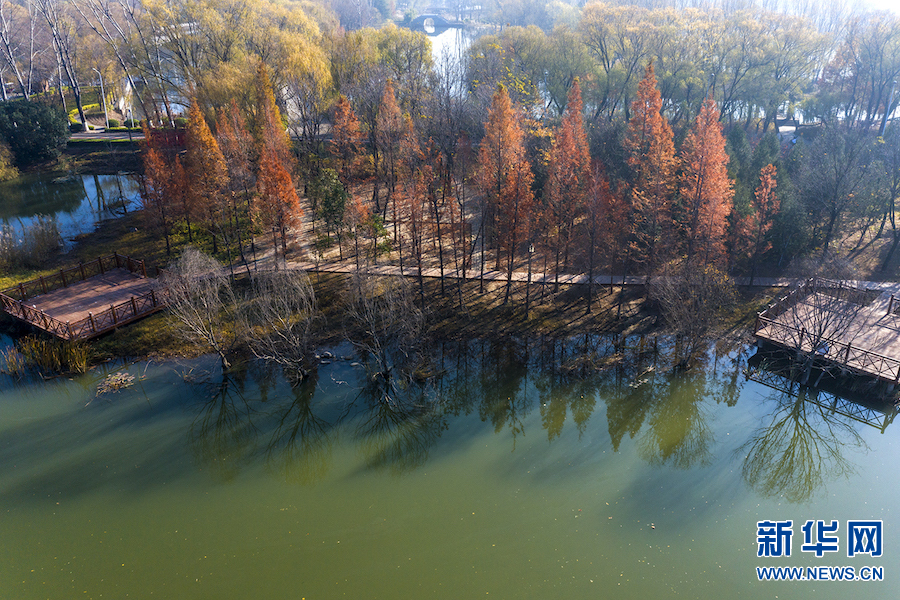 平顶山：白龟湖畔景色美