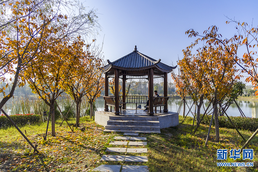 平顶山：白龟湖畔景色美