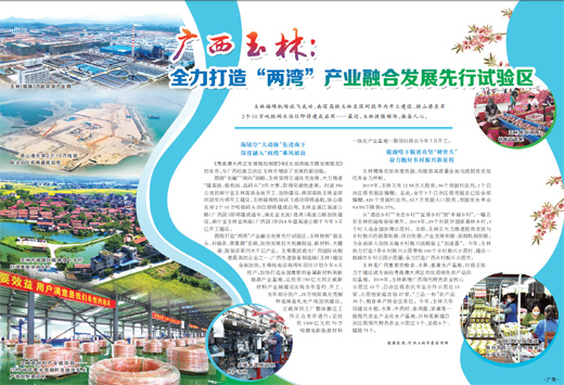 广西玉林：全力打造“两湾”产业融合发展先行试验区