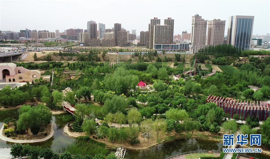 毛乌素治理：众志缚流沙 塞外展新颜
