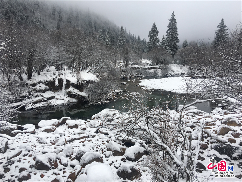 大雪装扮的初冬 达古冰山开启冰雪童话世界