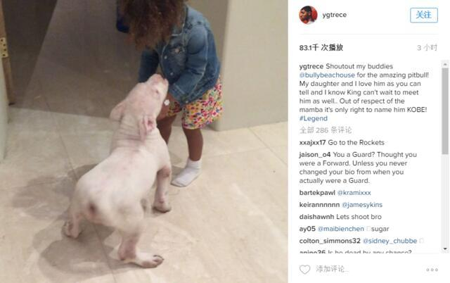 球星与宠物：西蒙斯悔当猫奴 汤神爱犬比库里重要