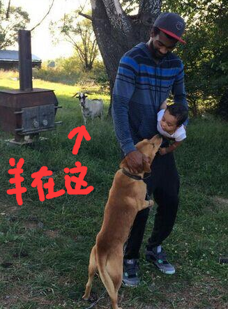 球星与宠物：西蒙斯悔当猫奴 汤神爱犬比库里重要