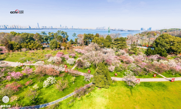 【VR全景】不负总书记嘱托，浴火重生中的荆楚大地