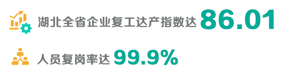 【VR全景】不负总书记嘱托，浴火重生中的荆楚大地