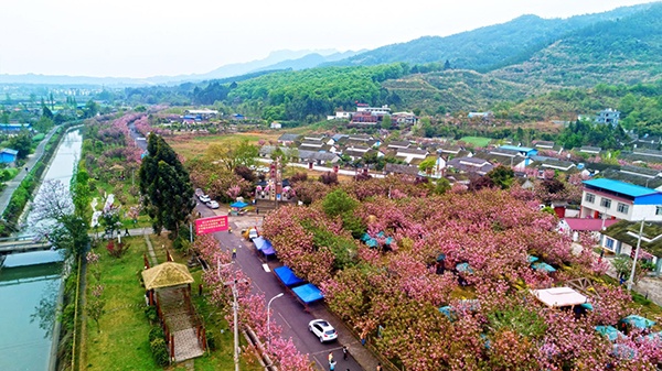 四川什邡：“三引三同”打造乡村治理“龙泉样板”_fororder_mmexport1638244699938