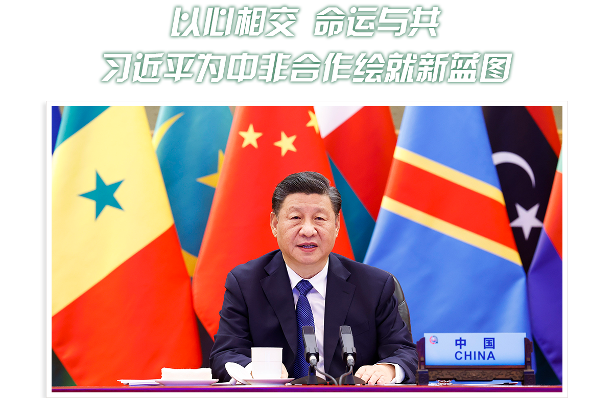 头图_fororder_PC-绿色